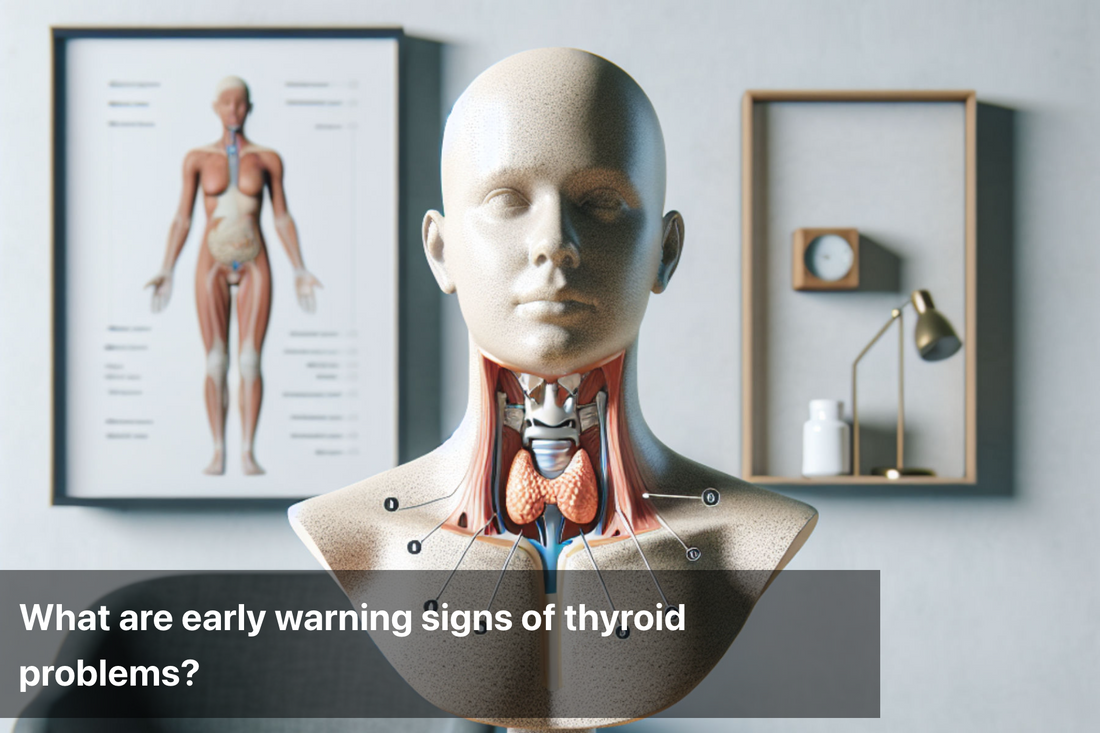 A model demonstrating thyroid anatomy and symptoms of thyroid issues.