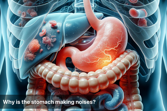 Illustration of human digestive system highlighting stomach and intestines