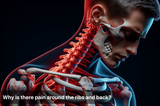 Anatomical illustration showing ribs and back pain symptoms